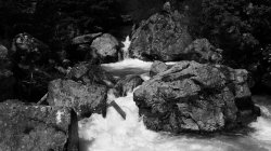 IMG_8125