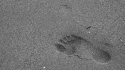 IMG_8178