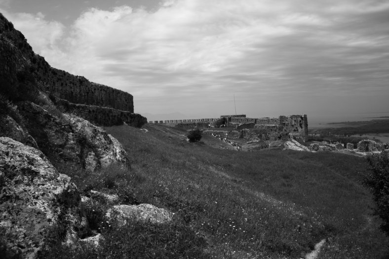 IMG_8223
