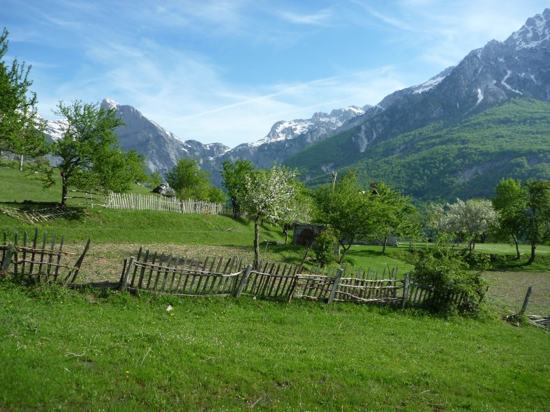 P1000553