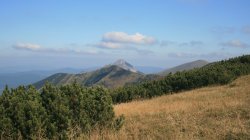 IMG_9989