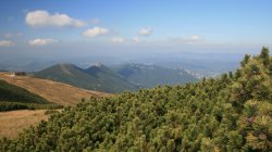 IMG_9991