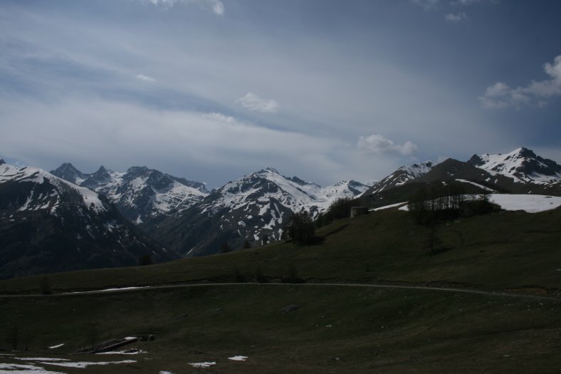 IMG_9431