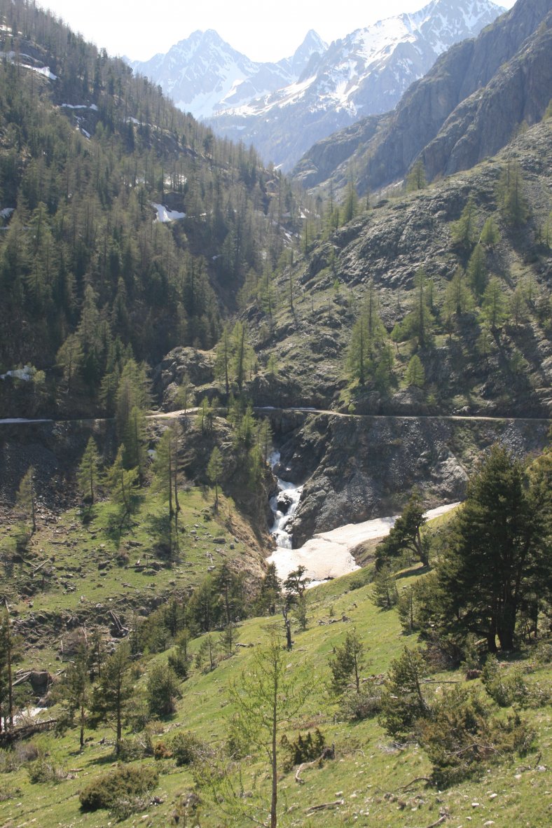 IMG_9438