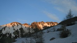 IMG_9484