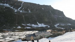 IMG_9493