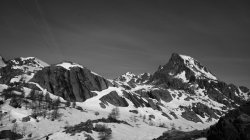 IMG_9497