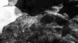 IMG_9500
