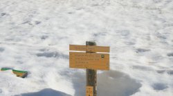 IMG_9509