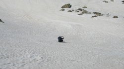 IMG_9515
