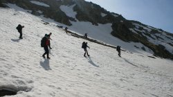 IMG_9517