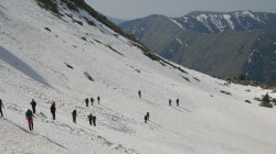 IMG_9519