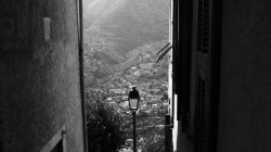 IMG_9533