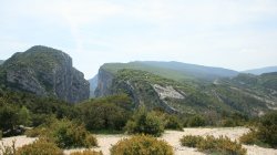 IMG_9556