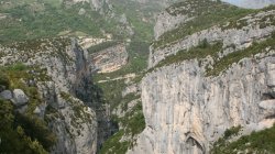 IMG_9564