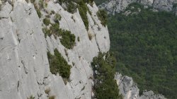 IMG_9572