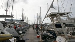 IMG_8778