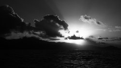 IMG_8796