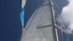 IMG_8805