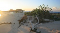 IMG_8812