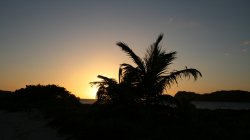 IMG_8820