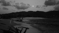 IMG_8823