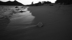 IMG_8824