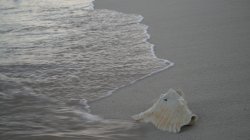 IMG_8827