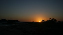 IMG_8833