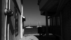 IMG_8886