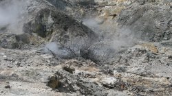 IMG_9140