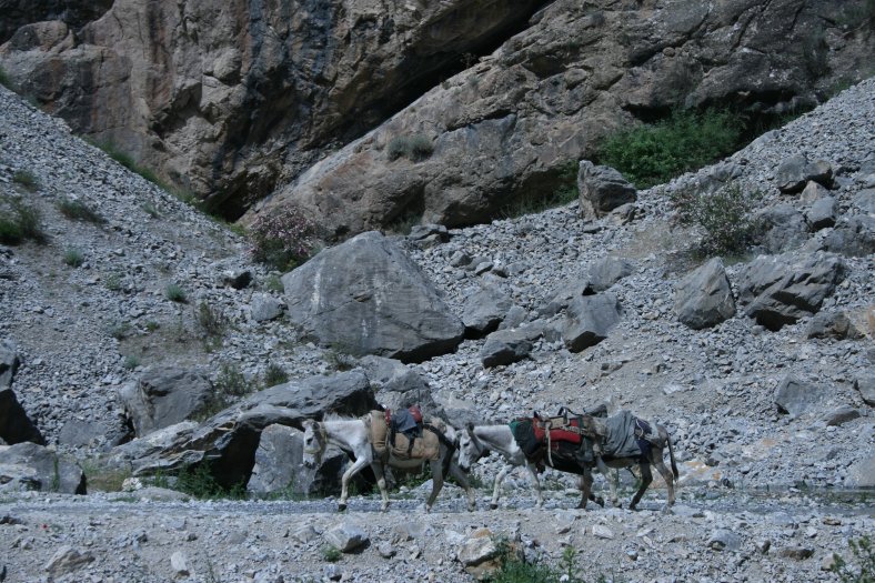 033 Cesta na Artuč