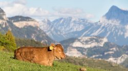 65. Aigüestortes i Estany de Sant Maurici National Park