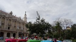 DSC02407