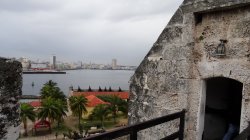 DSC02439