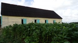 DSC02512