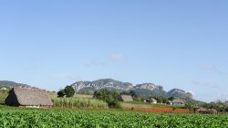 DSC02587