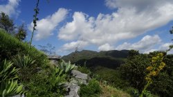 DSC02803