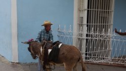 DSC02858