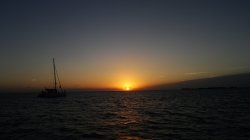 DSC03030