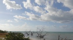 DSC04589