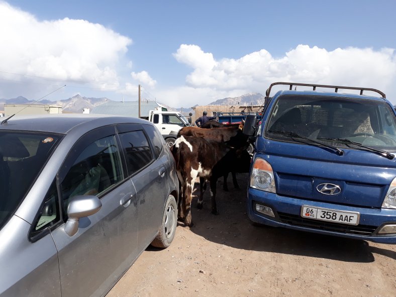 059. Trh v Sary-Mogolu