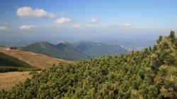 2011 Fatra veselá